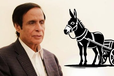 پرویز الہی کی درخواست مسترد، گدھا گاڑی کے نشان پر الیکشن لڑنے کی ہدایت