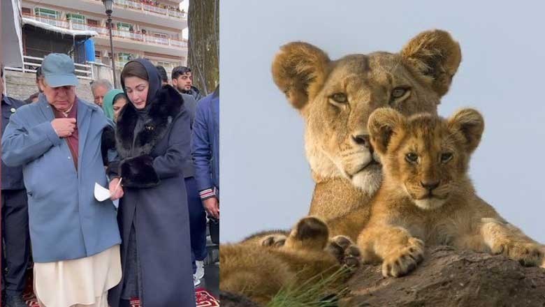 نواز شریف مریم کے ساتھ اپنی تصویر دیکھ کر ہنس پڑے