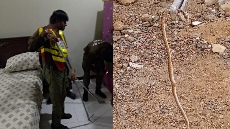 کراچی میں گھر سے پراسرار پھنکار کی آوازوں کا معمہ حل، خطرناک ترین شے برآمد