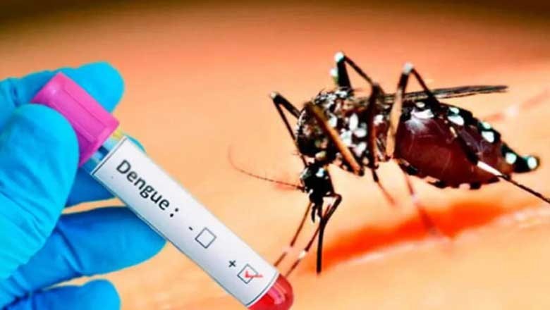 پنجاب میں ڈینگی پھیلنے لگا