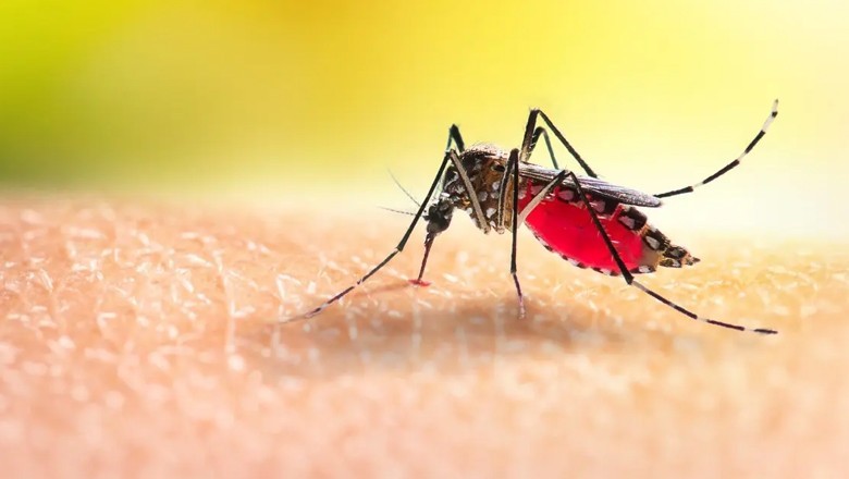 سیزن سے پہلے ڈینگی کا مرض پھیلنے لگا