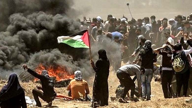 جبالیہ اور رفح میں اسرائیلی بربریت جاری، 22 فلسطینی شہید