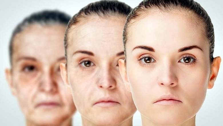 سائنس دانوں نے بڑھتی عمر کو سست کرنے والا پروٹین دریافت کرلیا