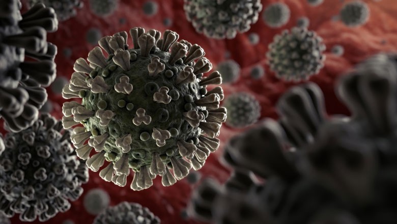 پاکستان میں کرونا کا کیس رپورٹ