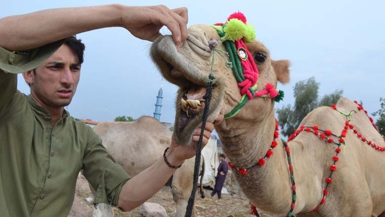 عیدالاضحی پر سیکیورٹی اور کھالیں جمع کرنے کا پلان ترتیب دے دیا گیا