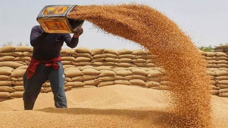 گندم درآمد اسکینڈل میں نگراں حکومت کو کلین چٹ مل گئی