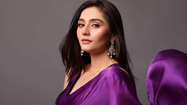 لوگ میری غیر اخلاقی تصاویر کی تلاش میں رہتے ہیں، درفشاں سلیم