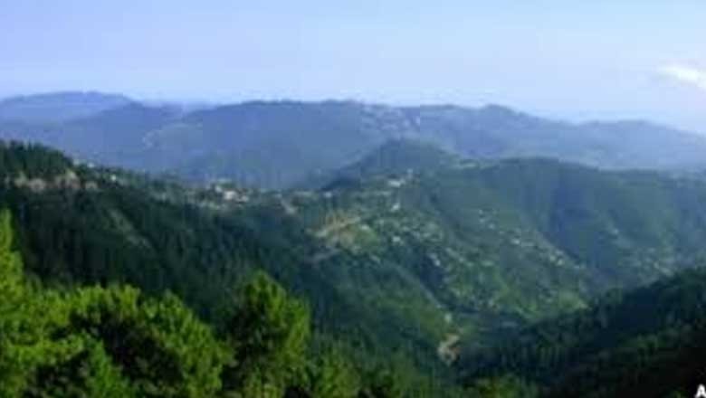 مری میں جنگلی سوروں کا حملہ، بچی کا پیٹ پھاڑ دیا