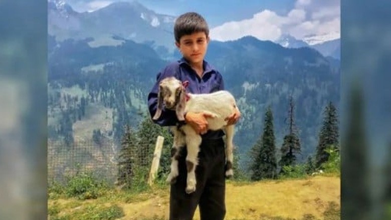 سستے ترین آئی فون سے لی گئی تصویر نے مقابلہ جیت لیا