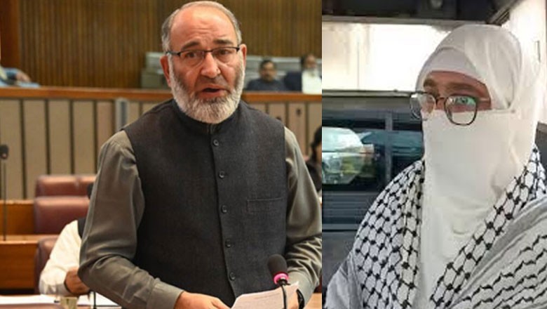 غزہ مظالم پر آواز اٹھانے کیوجہ سے سینیٹر مشتاق اہلیہ سمیت گرفتار