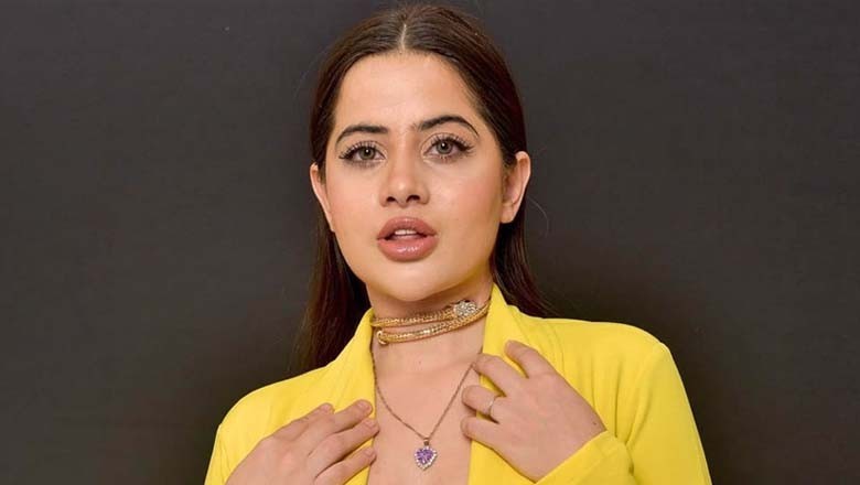 عرفی جاوید کو کس نے ہراساں کیا؟ اداکارہ کی لب کشائی