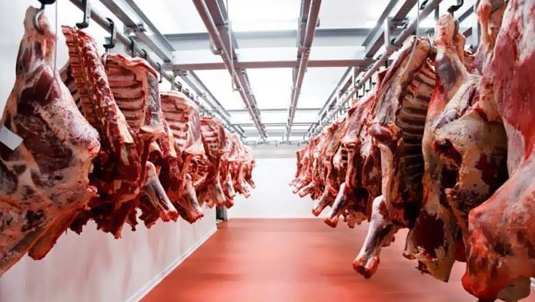 کراچی میں مردہ جانوروں کے گوشت کی فروخت کا انکشاف