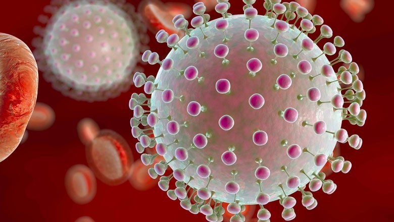 راولپنڈی میں ڈینگی وائرس بے قابو، سب سے متاثرہ علاقہ پوٹھوہار قرار