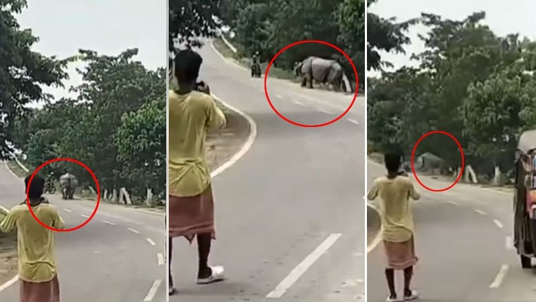 گینڈے کی ٹکر سے موٹرسائیکل سوار ہلاک، دل دہلا دینے والی ویڈیو