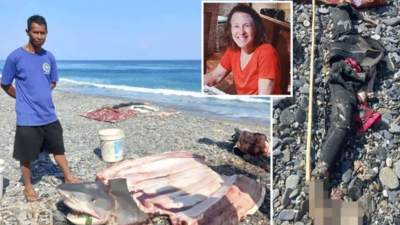 سمندر میں ڈوبنے والی خاتون کی لاش شارک کے پیٹ سے نکال لی گئی