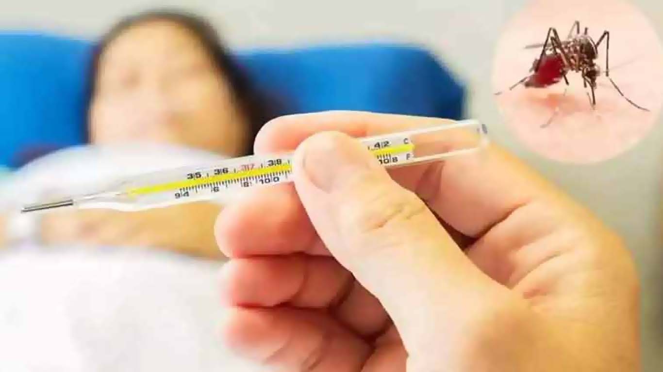 راولپنڈی میں ڈینگی ایمرجنسی نافذ کردی گئی