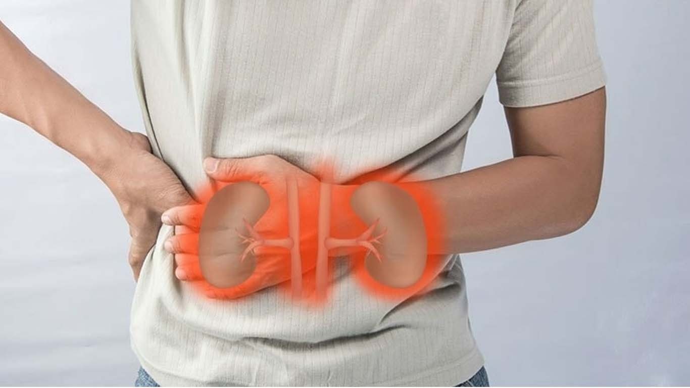 گردوں کے امراض میں تیزی سے اضافے کی وجہ سامنے آگئی