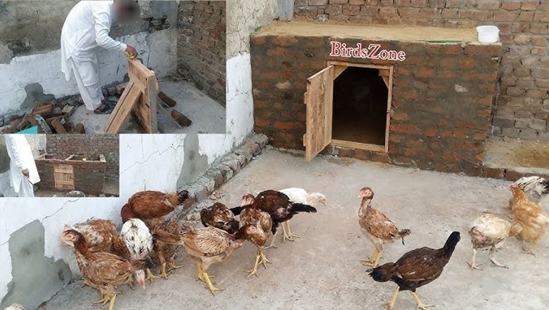 پڑوسی کی مرغیوں کے شور سے تنگ آکر خاتون سندھ ہائیکورٹ پہنچ گئی