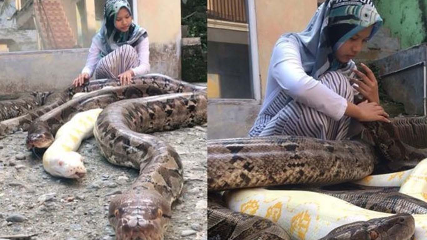 دریائے نیل سے بہہ کر آنے والے اژدھوں سے لوگ خوف زدہ