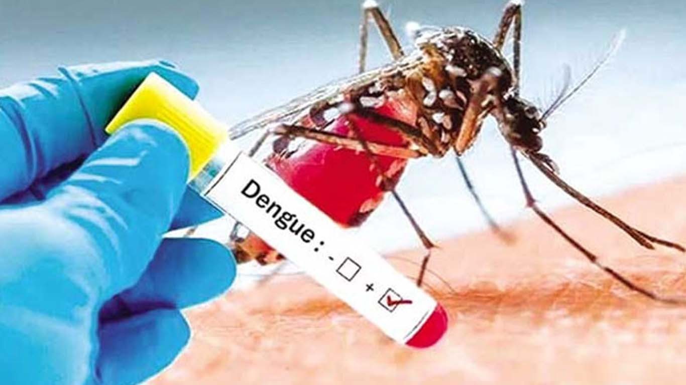 سندھ: رواں سال ڈینگی کے 2 ہزار 192 کیسز رپورٹ