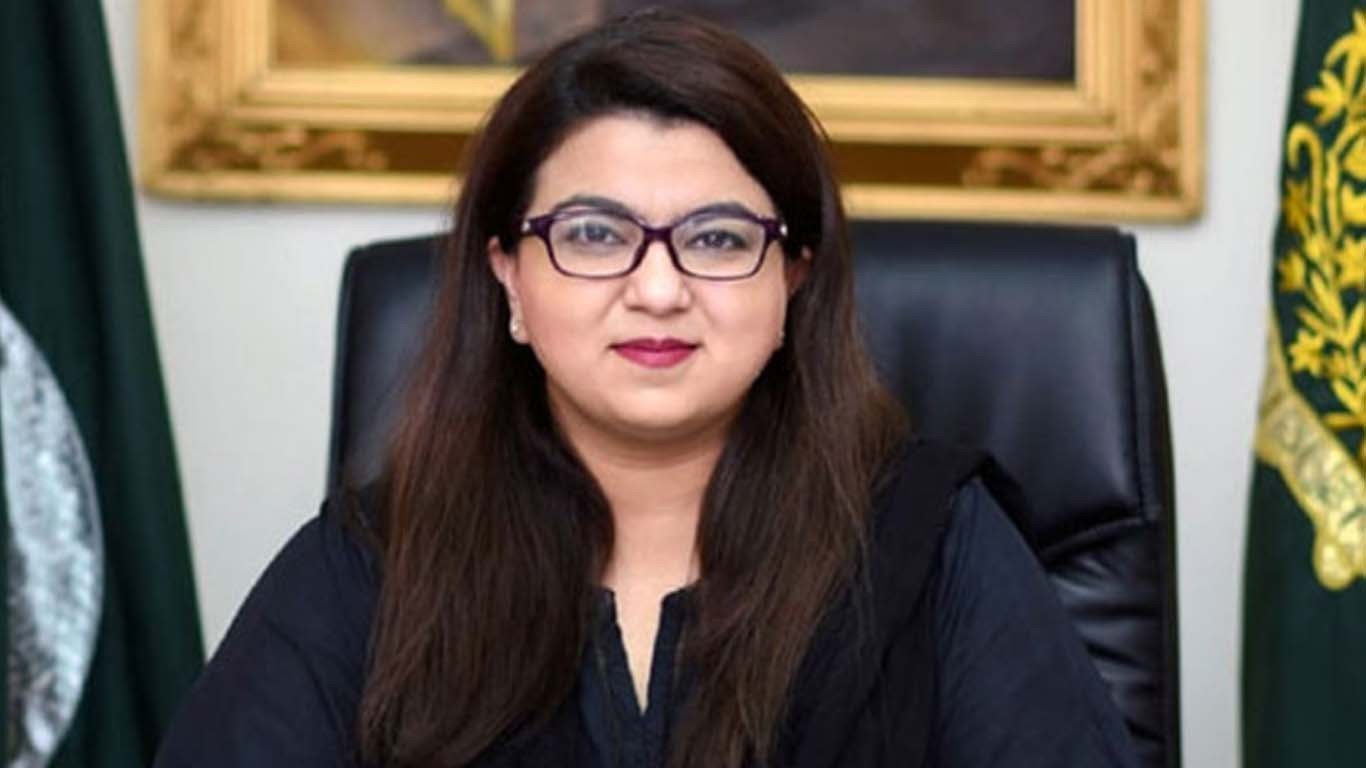 وزیر مملکت نے انٹرنیٹ کا مسئلہ جلد حل ہونے کی خوشخبری سنادی