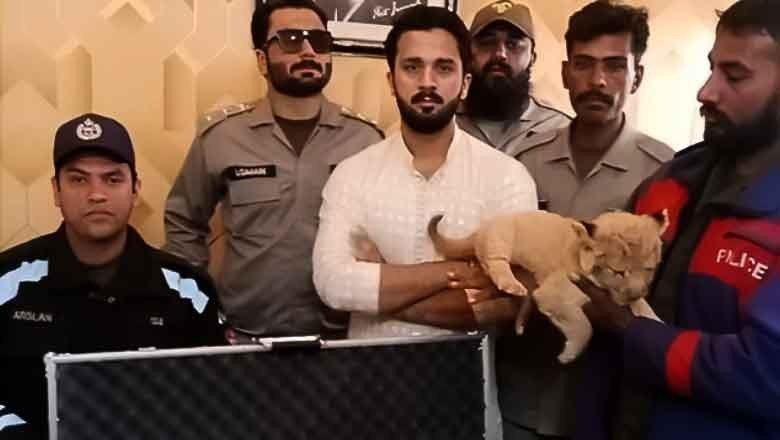 رجب بٹ کو شیر کا بچہ رکھنے پر عدالت نے منفرد سزا سنا دی