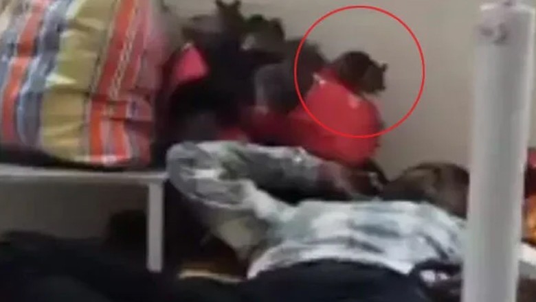 بھارت کے سرکاری اسپتال میں مریض کے سر پر چوہوں کا گشت، ویڈیو سامنے آگئی