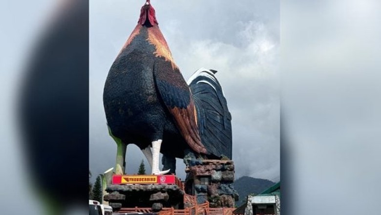 گنیز بک ورلڈ ریکارڈ میں نام درج کرانے والی یہ مرغی نہیں بلکہ۔۔ دلچسپ انکشاف