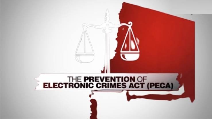 پیکا ایکٹ میں گرفتار پی ٹی آئی رہنما کی ضمانت منظور