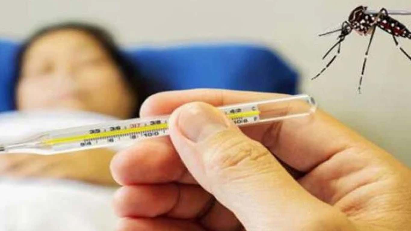 سندھ میں رواں برس ملیریا کے 13 ہزار 560 کیسز رپورٹ