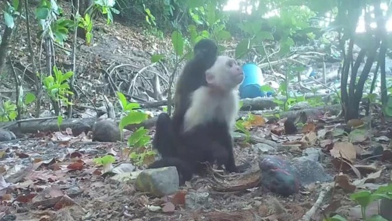 بندر بھی اغوا کی وارداتوں میں ملوث نکلے، دشمنی دوسری نسل میں منتقل