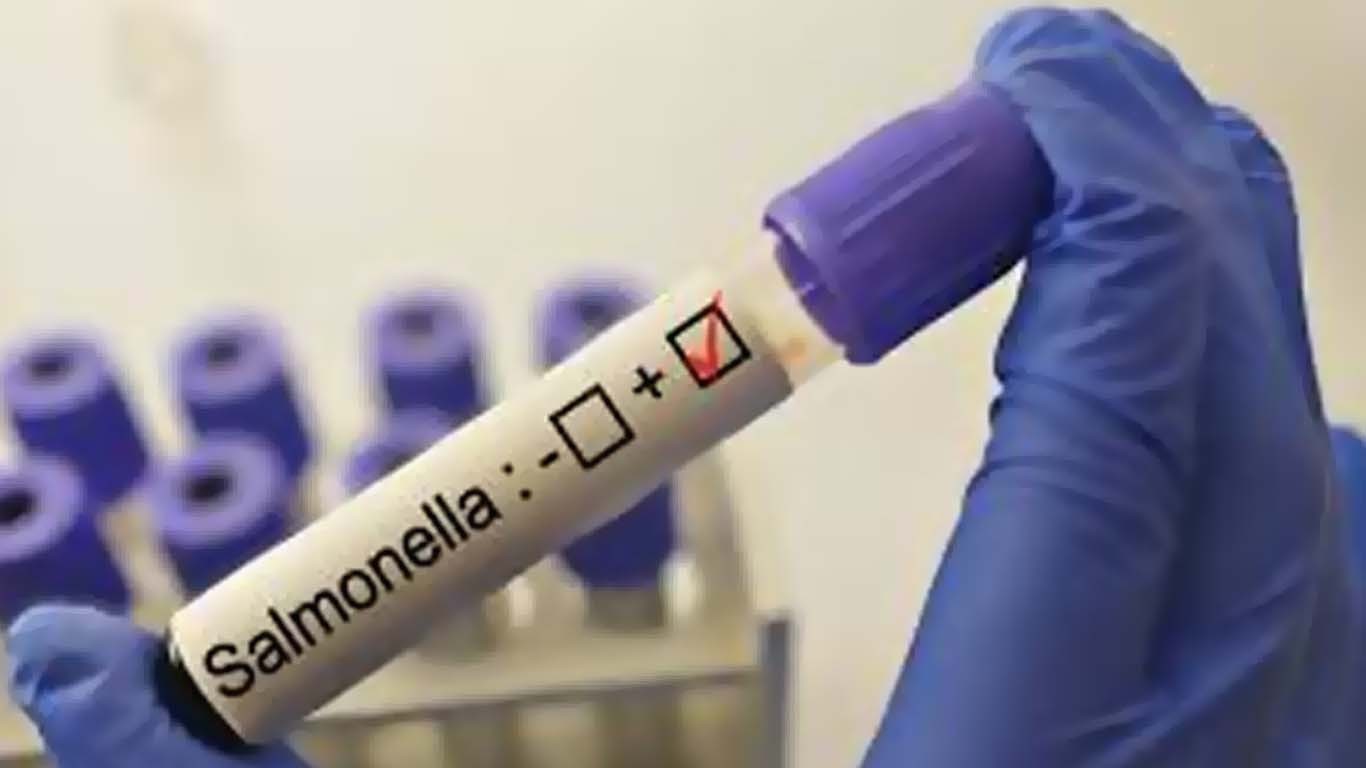 سالمونیلا وائرس کی وبا امریکا میں پھیل گئی