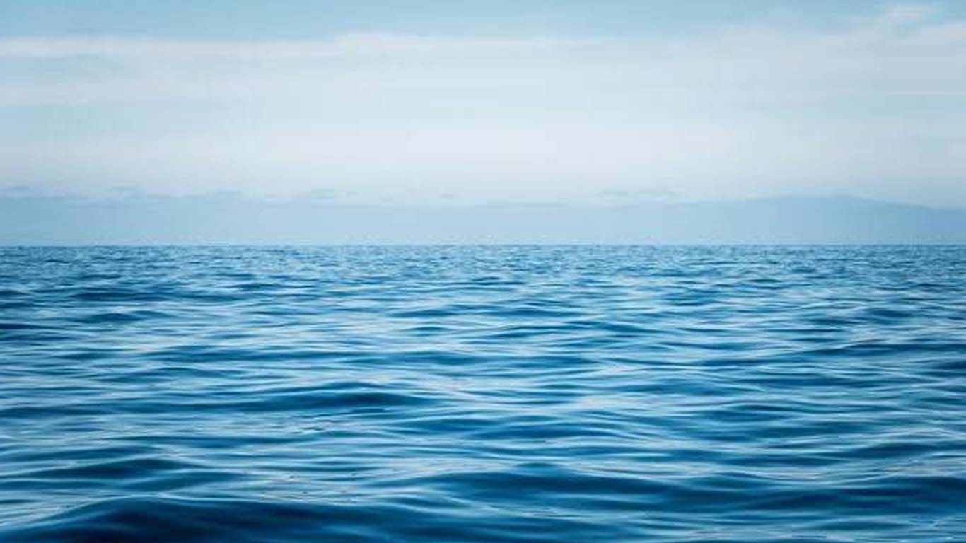دنیا کے سمندر وائرسوں سے بھر رہے ہیں؟ سائنس دانوں نے خبردار کردیا