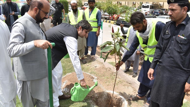 پشاور میں ایک لاکھ درخت لگانے کے مشن کا آغاز