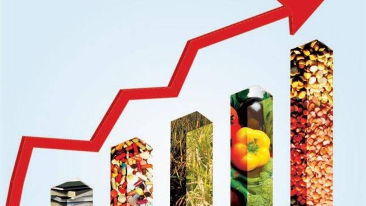 پیٹرول کی قیمت بڑھنے سے مہنگائی میں بڑا اضافہ