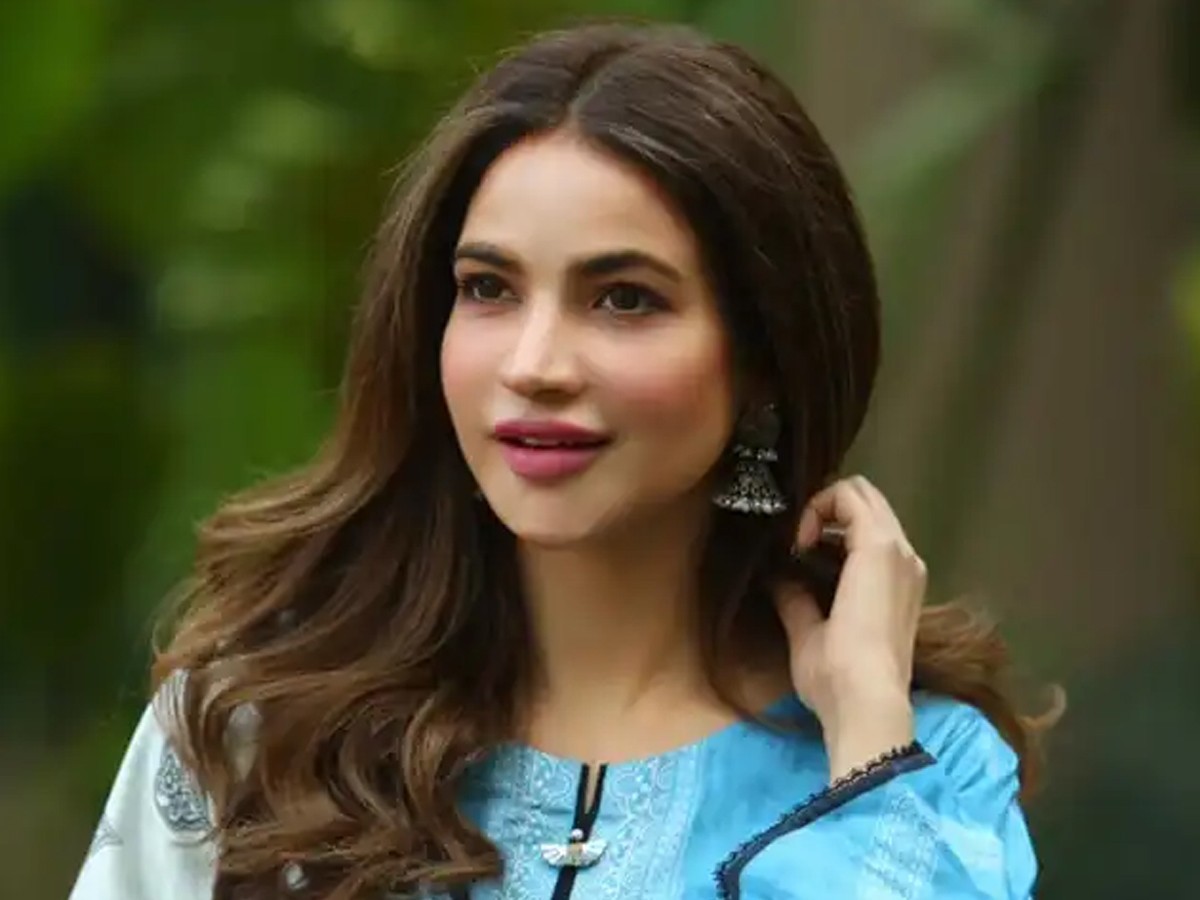 حمیرا اصغر 5 لاکھ روپے سے زائد کی مقروض، نئی تفصیلات سامنے آگئیں