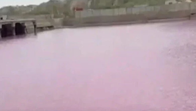 پاکستان میں سمندر کا پانی گلابی ہوگیا، الرٹ جاری