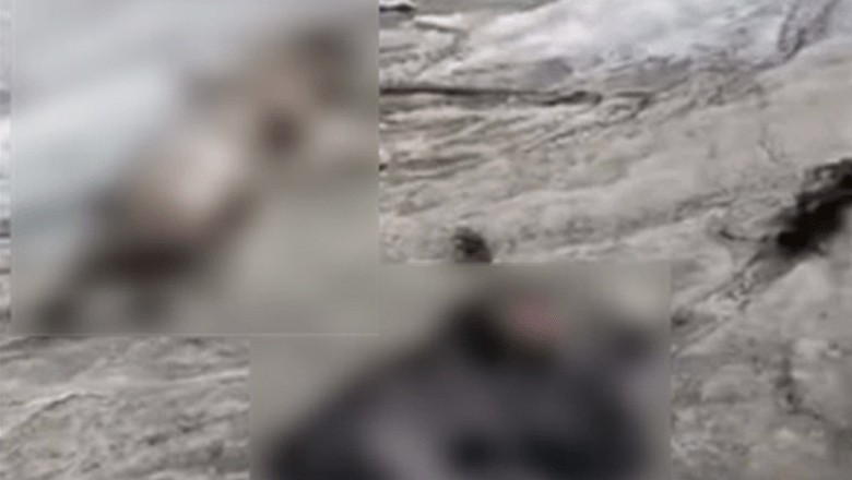 لاپتہ پاکستانی شہری کی کی 28 سال بعد لاش صحیح حالت میں برآمد