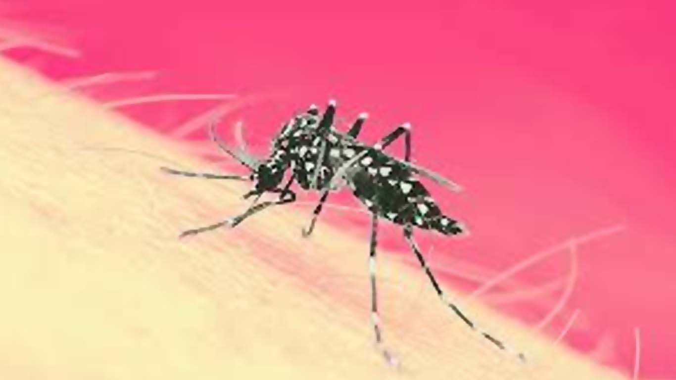 سندھ میں رواں ماہ ڈینگی کے 439 کیسز رپورٹ