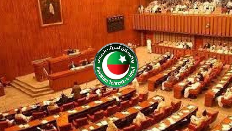 27ویں آئینی ترمیم، پی ٹی آئی کے دو سینیٹر کا پارٹی سے رابطہ منقطع