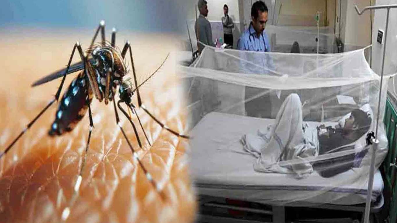 کراچی، ڈینگی کے مریضوں کی تعداد میں اضافہ