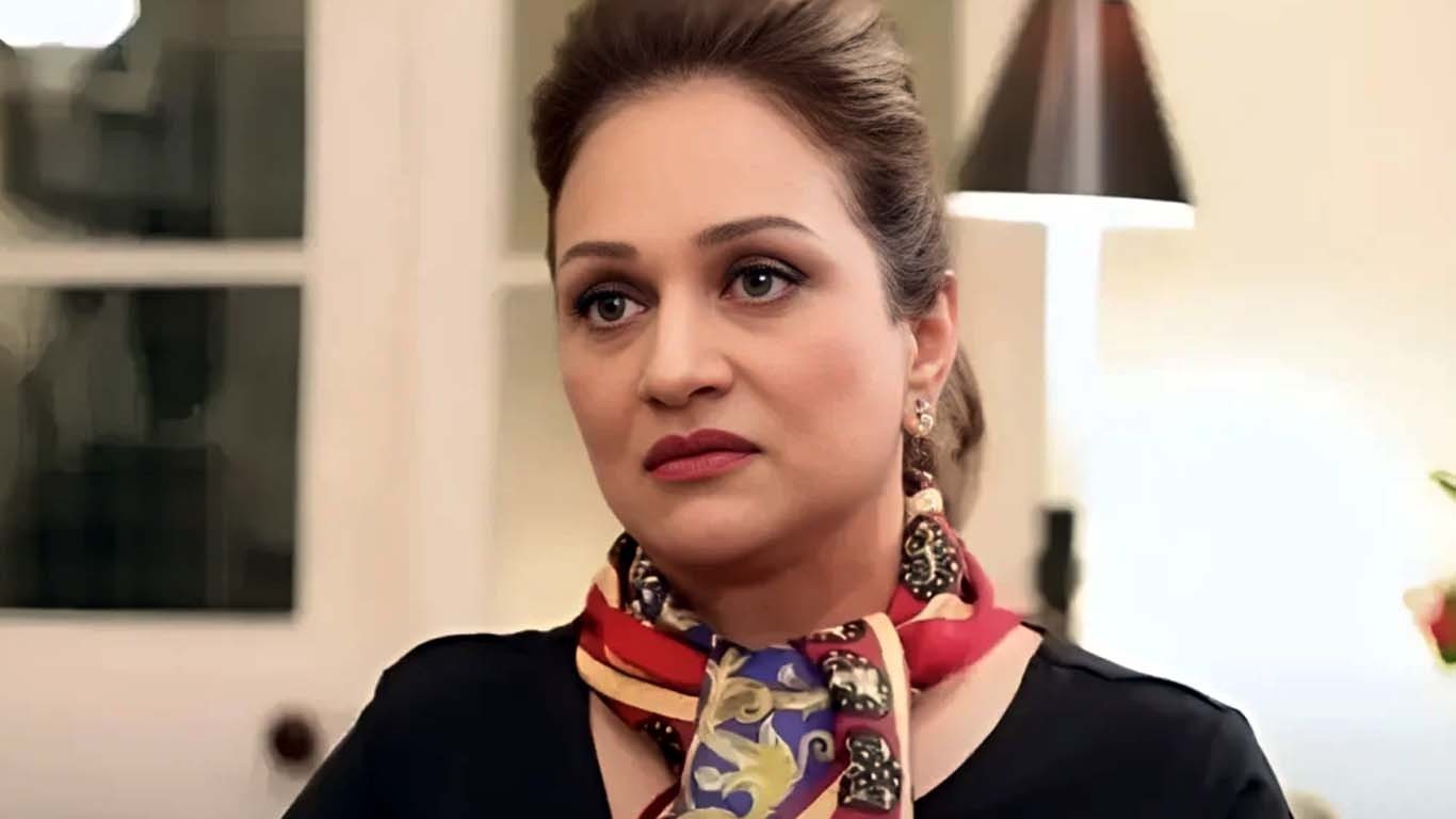 کراچی کی ٹوٹی سڑکیں، بشریٰ انصاری کا اظہار برہمی