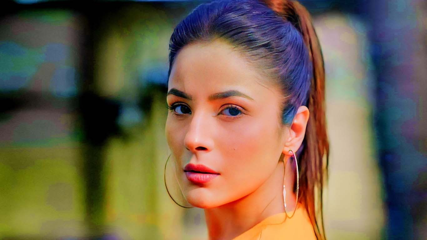 شہناز گل کونسے پاکستانی ڈرامے کی مداح ہیں؟