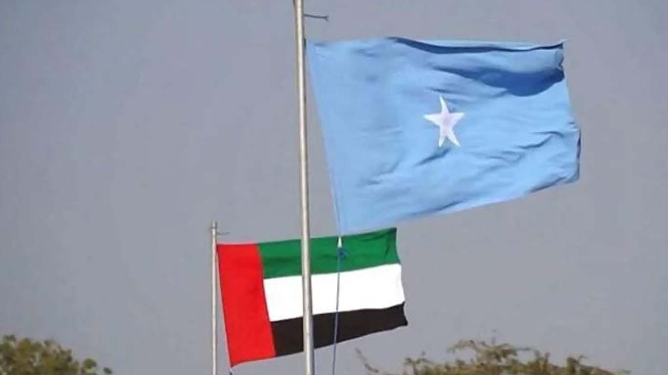 صومالیہ نے متحدہ عرب امارات کے ساتھ تمام معاہدے منسوخ کر دئیے