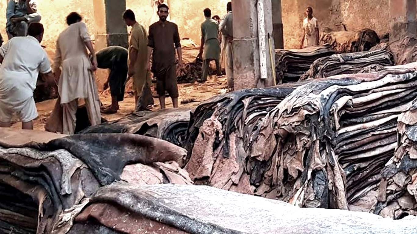قربانی کی کھالوں کے حصول سے متعلق ضابطہ اخلاق جاری