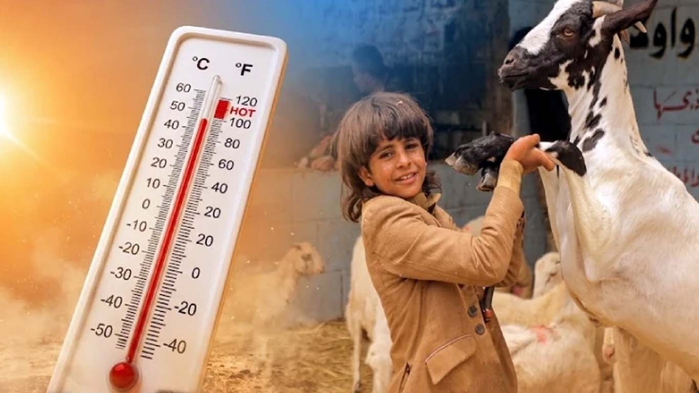 عیدالاضحی کے دوران شدید گرمی کی پیشگوئی، محکمہ موسمیات نے خبردار کردیا