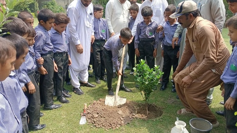 پشاور میں منفرد شجرکاری مہم، بے سہارا بچوں نے پودے لگائے