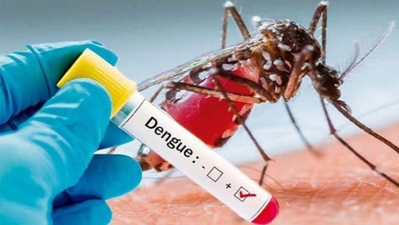 راولپنڈی: ڈینگی کے 6 کنفرم کیسز رپورٹ
